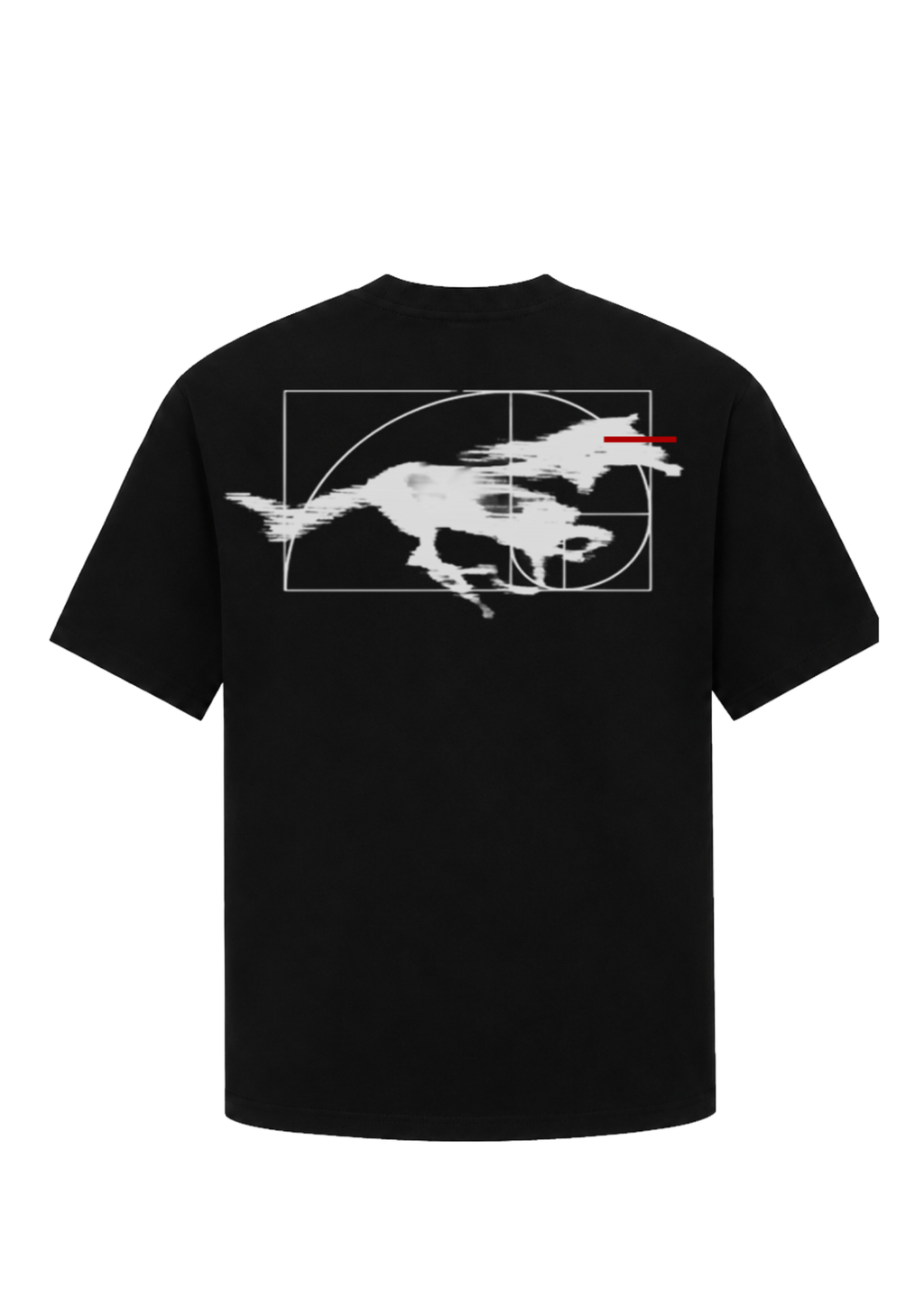 เสื้อยืดม้าฟีโบนัชชี